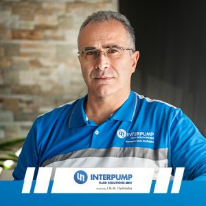 domenico